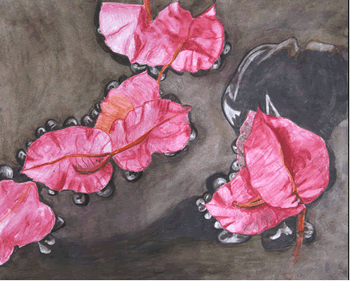 Petals In Water Watercolor Print | Island Art Bocas